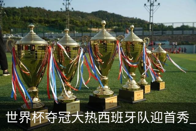 世界杯夺冠大热西班牙队迎首秀 伊朗队入境美国参赛